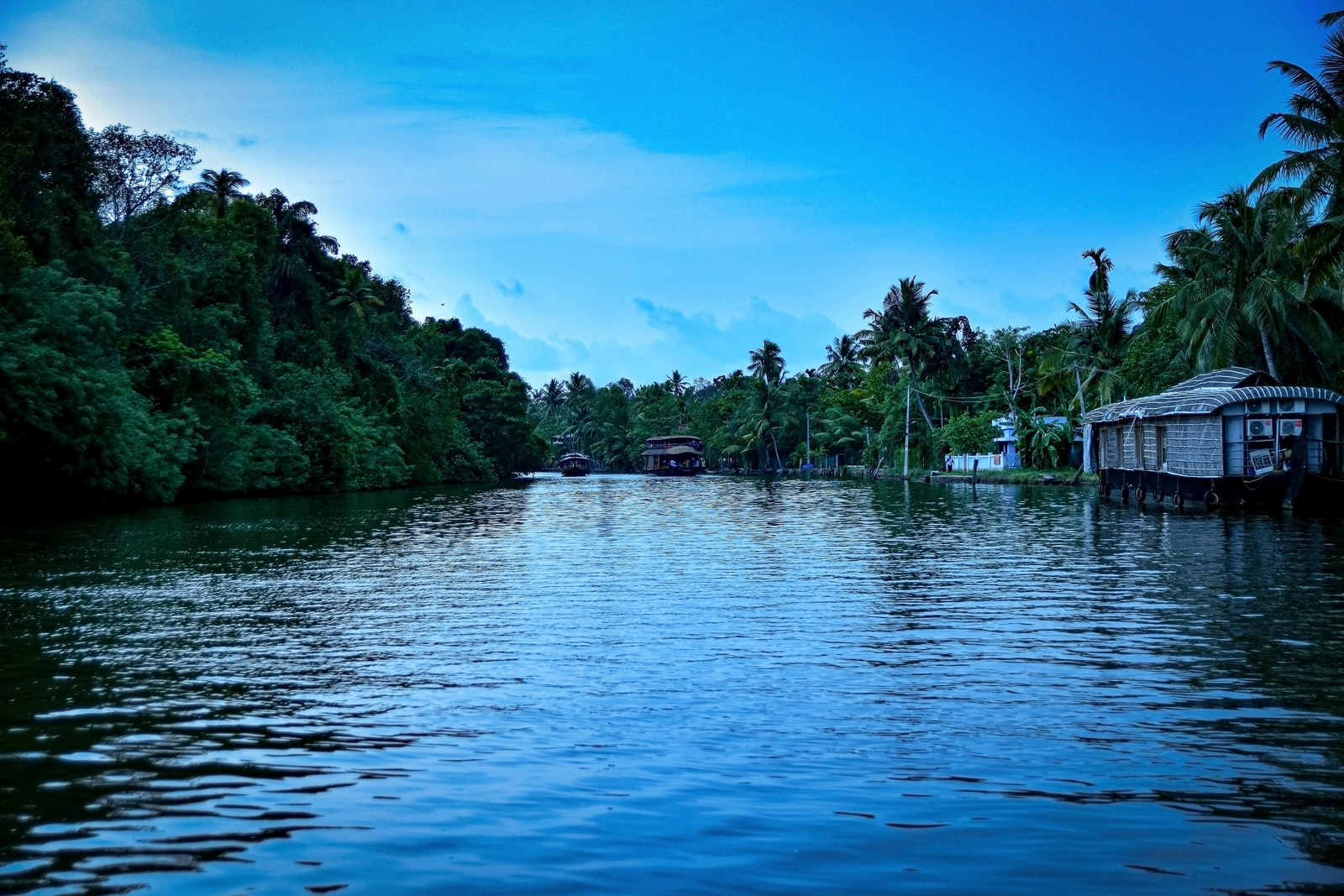 boat on water near trees during daytime