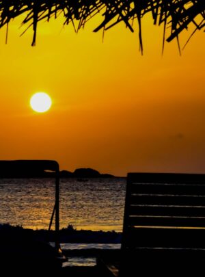 silhouette of bench near body of water during sunset